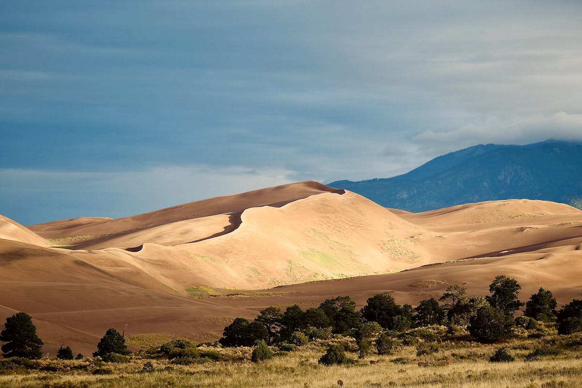 "Still Morning," Sand Dunes, photo entry for State of the Rockies 2025. Photo by Orien Cenkl ’27